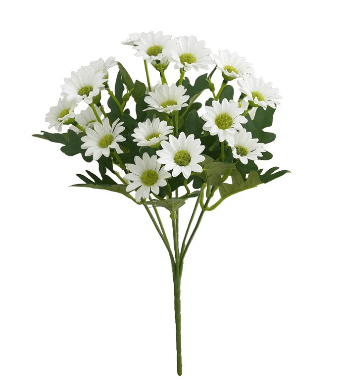 EmberBloom™ Mums | Effortless, Vivid Fall Beauty That Turns Every Porch Into a Showstopper