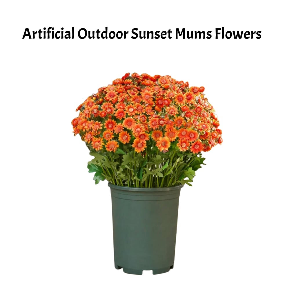 EmberBloom™ Mums | Effortless, Vivid Fall Beauty That Turns Every Porch Into a Showstopper