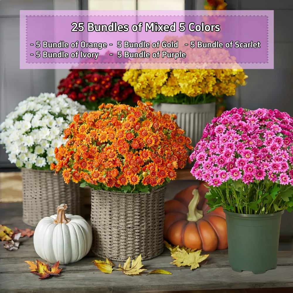 EmberBloom™ Mums | Effortless, Vivid Fall Beauty That Turns Every Porch Into a Showstopper